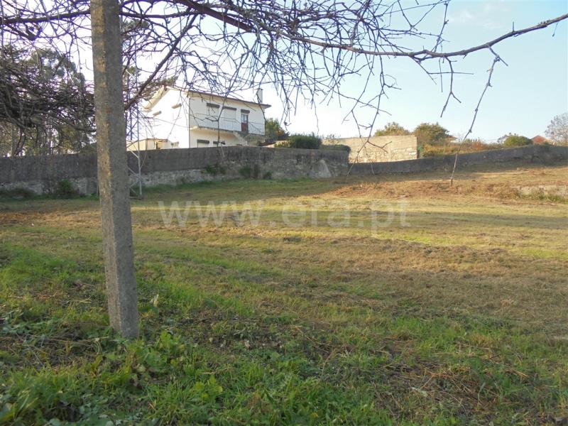 Terreno para Construção / Barcelos, Fragoso - View 6