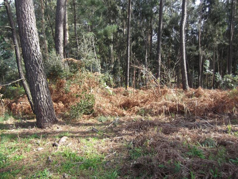 Terreno para Construção  Barcelos, Fragoso - 800704 - 4