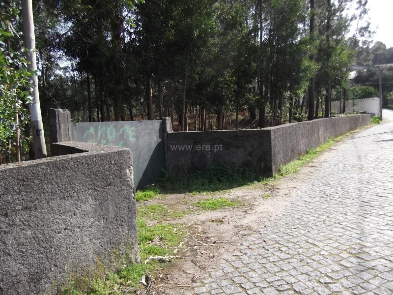 Terreno para Construção / Barcelos, Fragoso