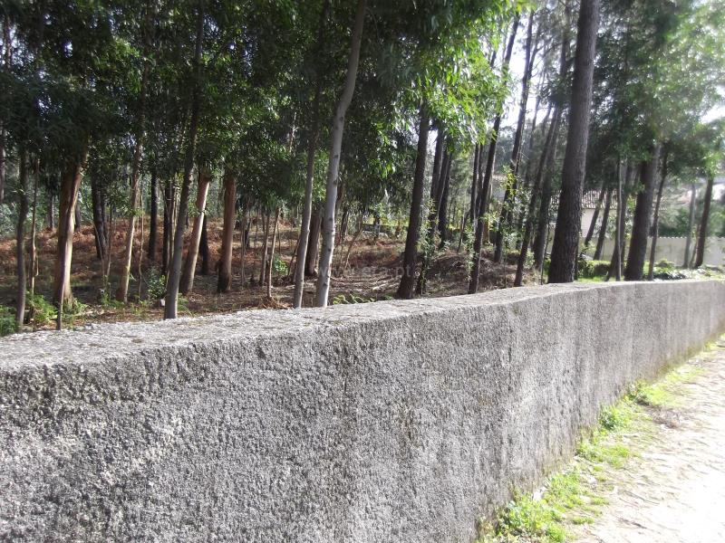 Terreno para Construção  Barcelos, Fragoso - 800704 - 3