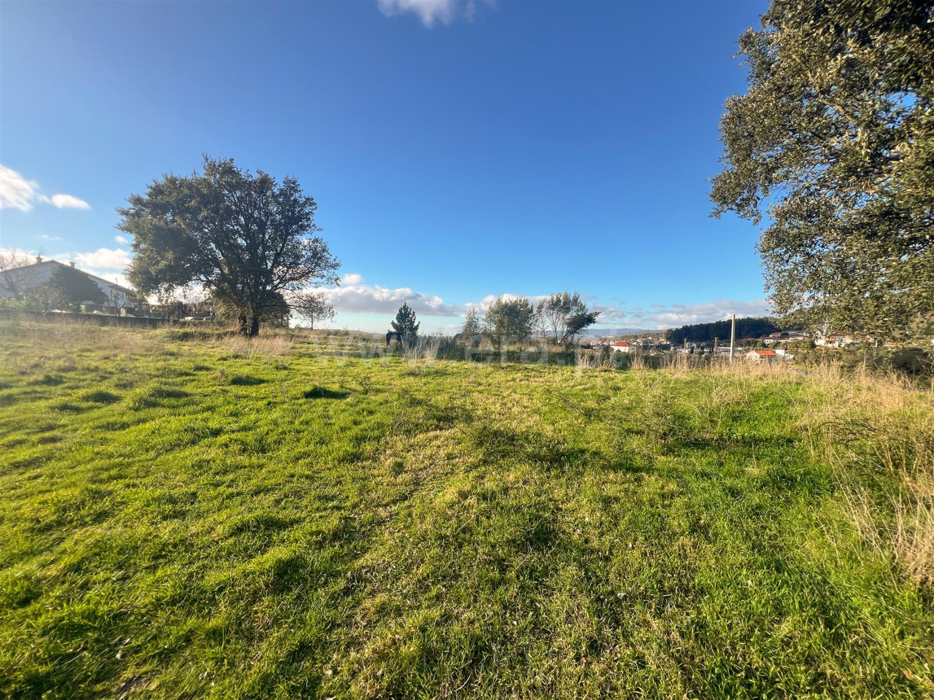Land for sale in Barcelos, Portugal — €57,500