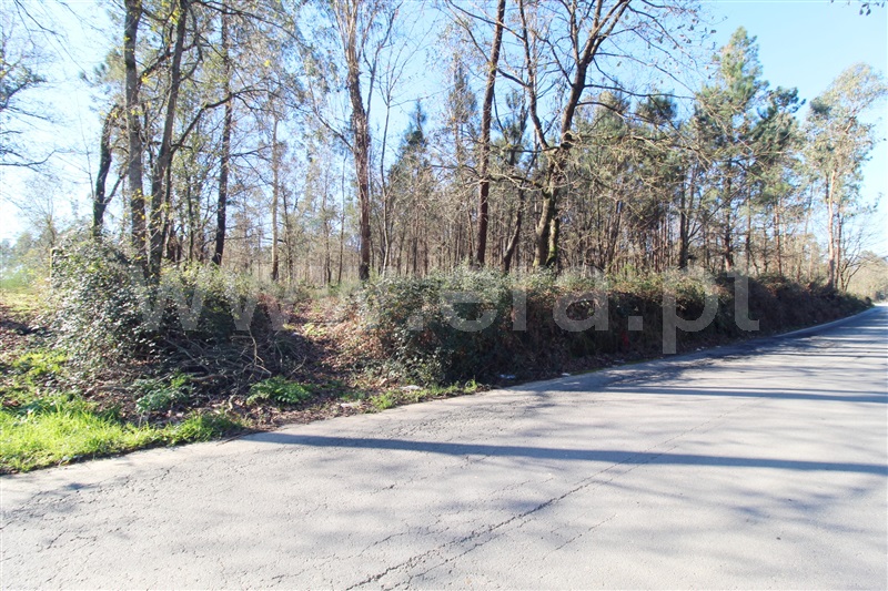 Terreno para Construção  Barcelos, Galegos (Santa Maria) - 1301512 - 3