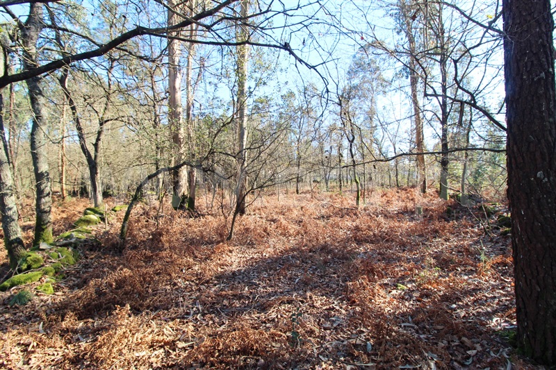 Terreno para Construção  Barcelos, Galegos (Santa Maria) - 1301512 - 4