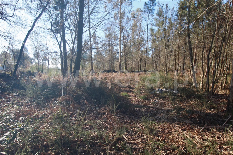 Terreno para Construção  Barcelos, Galegos (Santa Maria) - 1301512 - 7