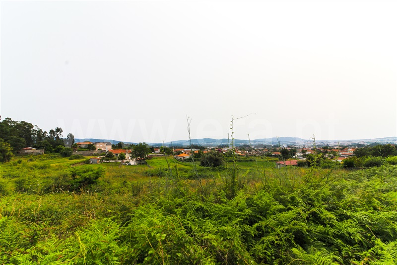 Terreno para Construção / Barcelos, Galegos (Santa Maria)