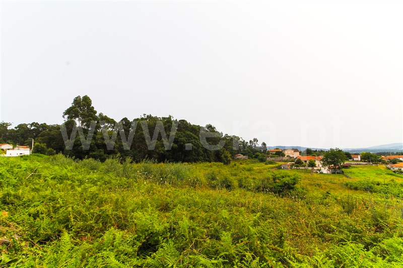 Terreno para Construção / Barcelos, Galegos (Santa Maria)