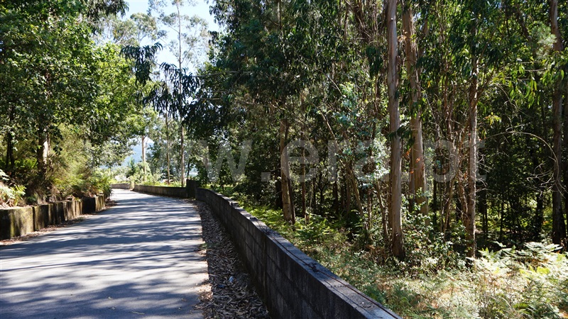 Terreno para Construção / Barcelos, Galegos (Santa Maria)