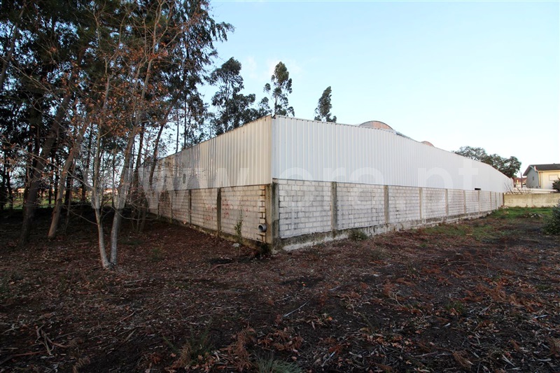 Terreno para Construção / Barcelos, Galegos (Santa Maria)