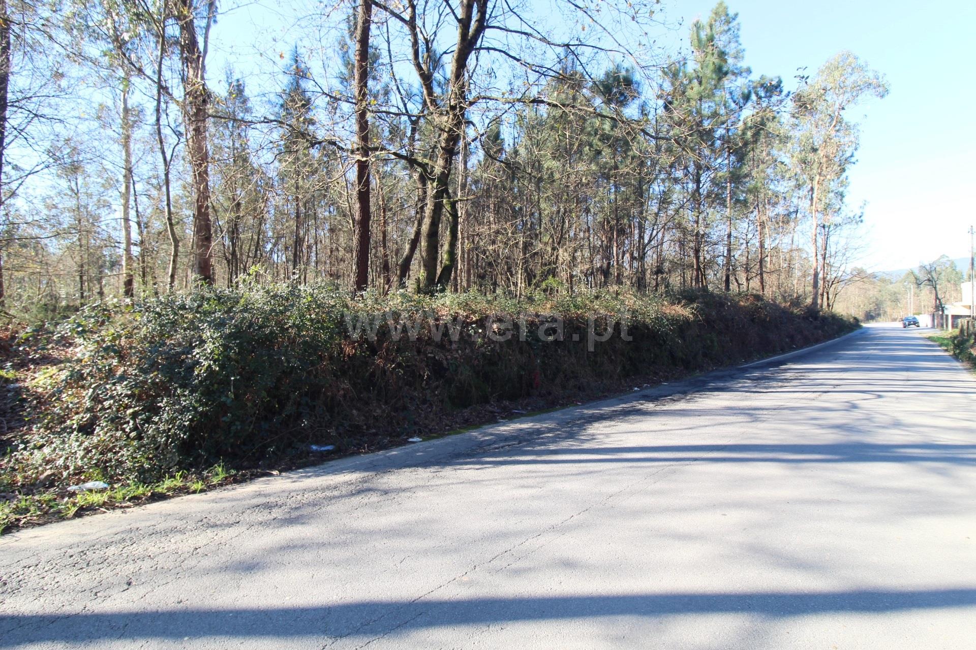 Land for sale in Barcelos, Portugal — €275,000