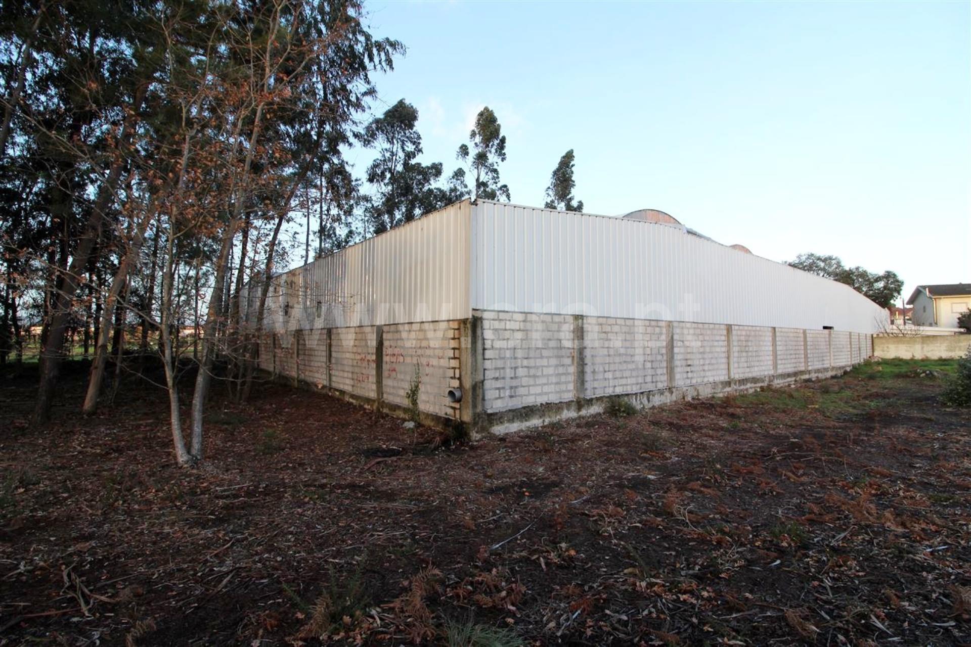 Land for sale in Barcelos, Portugal — €250,000