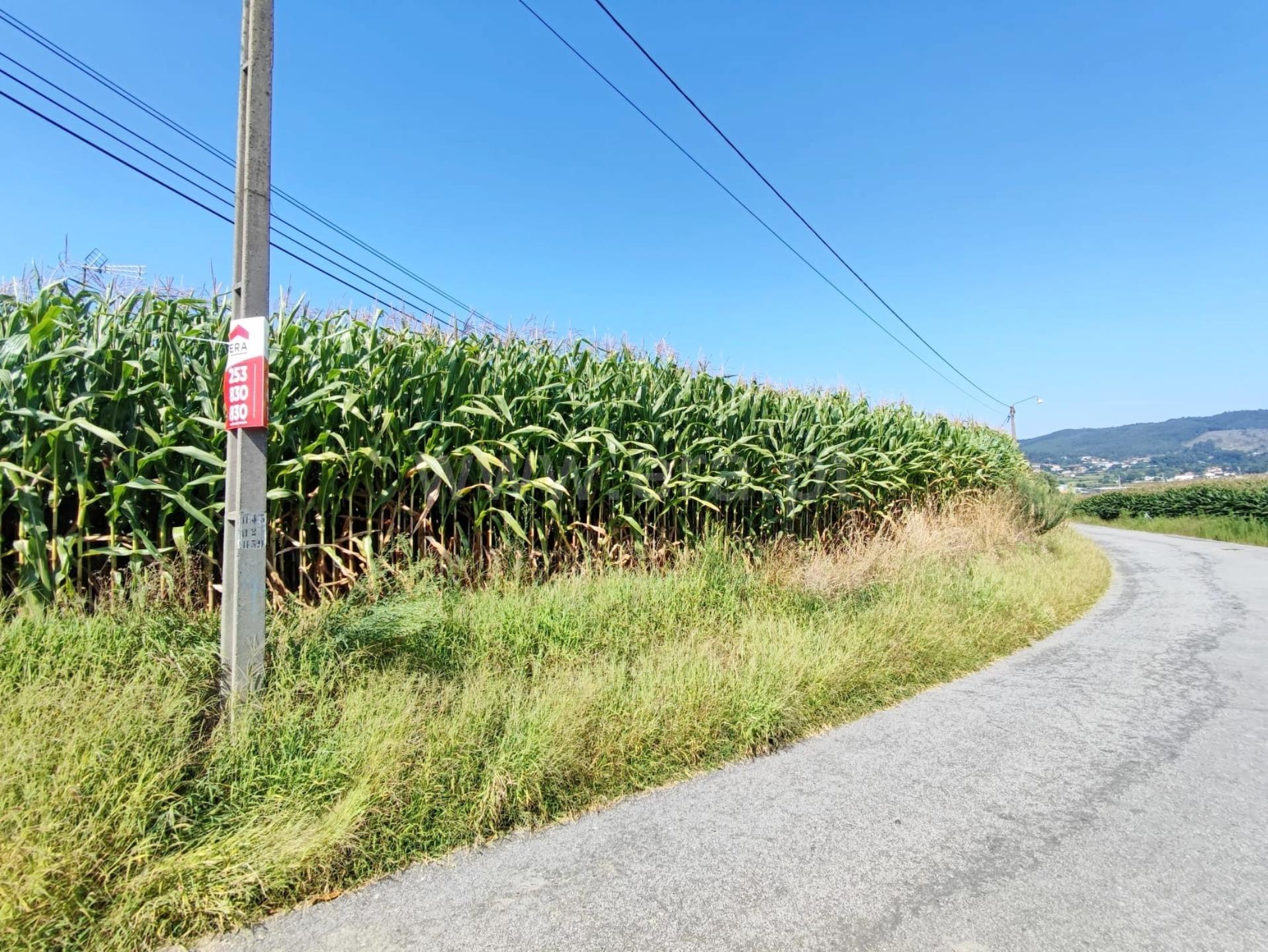Land for sale in Barcelos, Portugal — €165,500