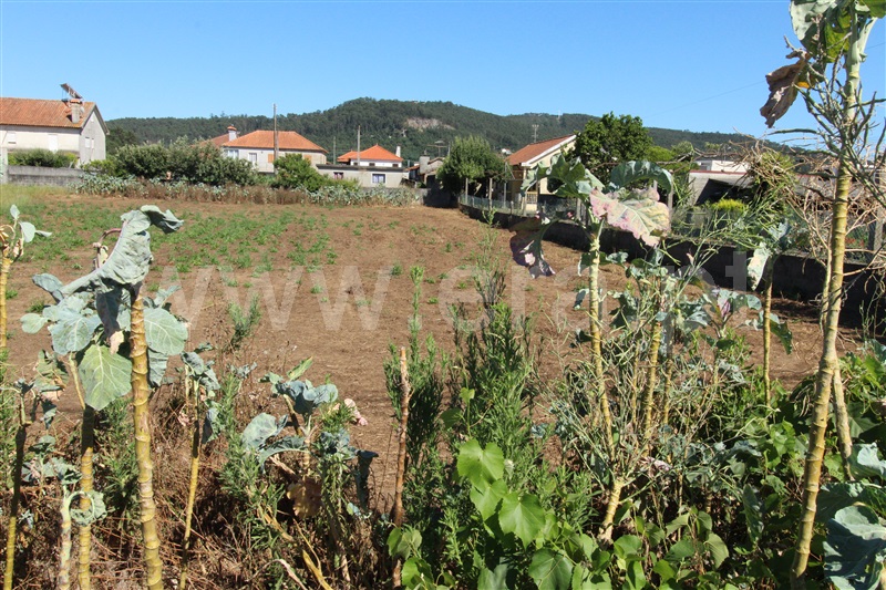 Terreno para Construção  Barcelos, Gilmonde - 1492510 - 1