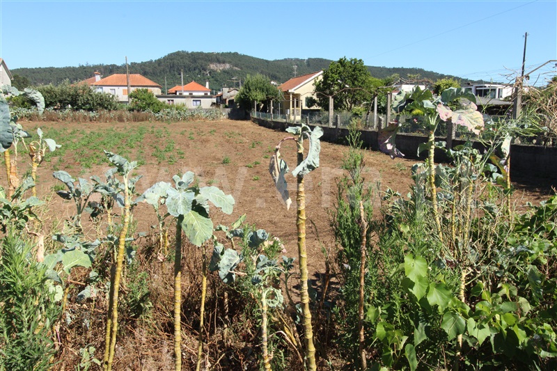 Terreno para Construção  Barcelos, Gilmonde - 1492510 - 4