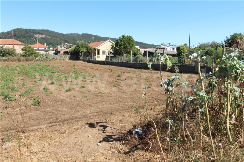 Terreno para Construção  Barcelos, Gilmonde - 1492510 - 6