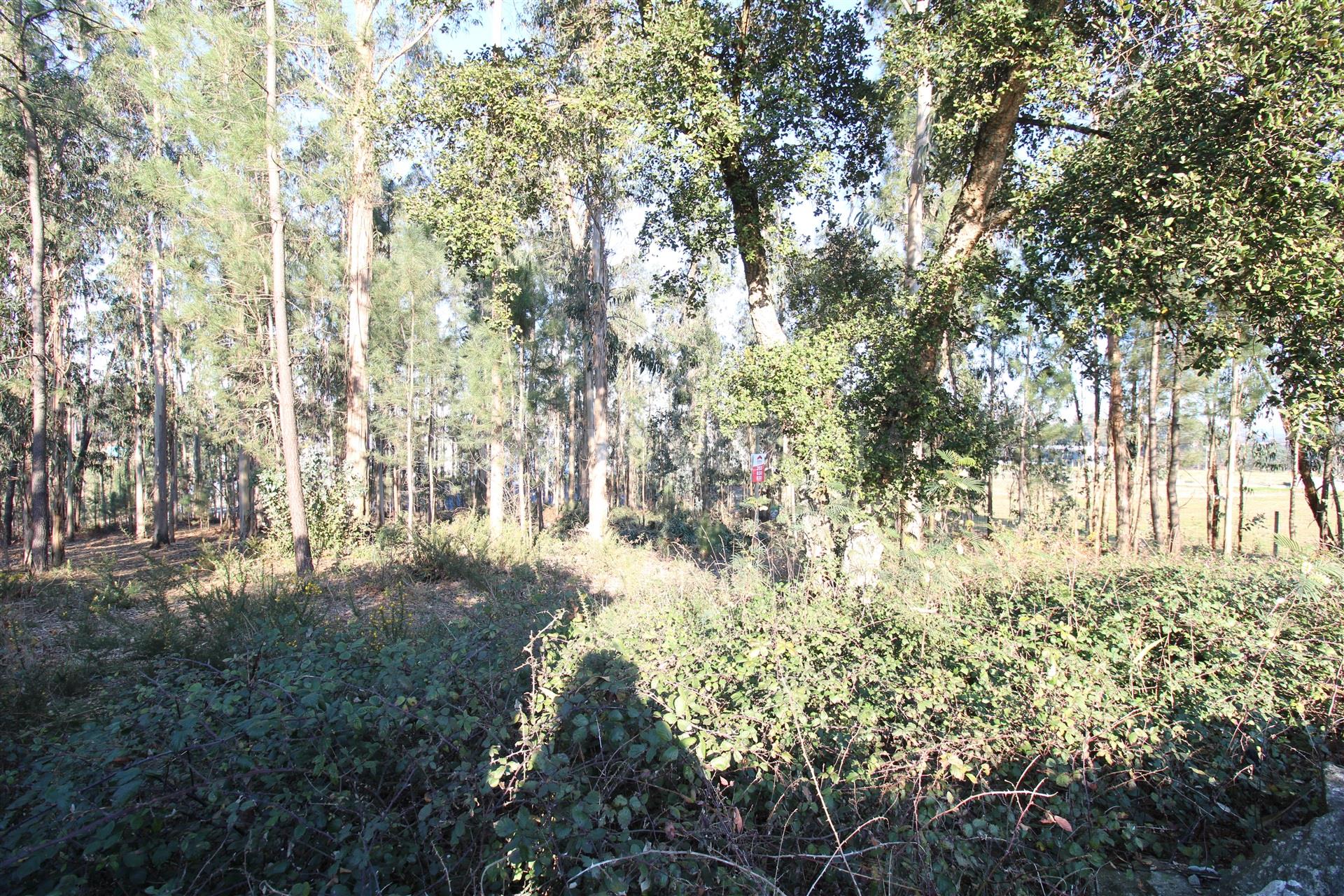 Land for sale in Barcelos, Portugal — €108,000