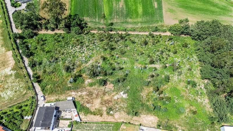 Terreno para Construção  Barcelos, Lijó - 1488056 - 4