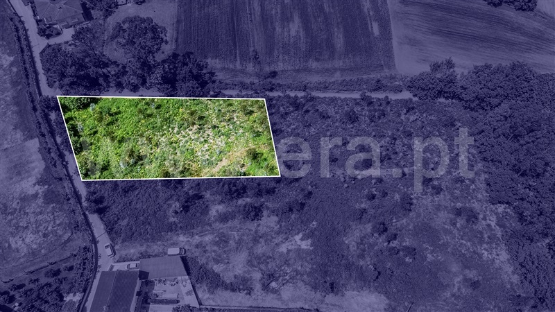 Terreno para Construção  Barcelos, Lijó - 1488794 - 3