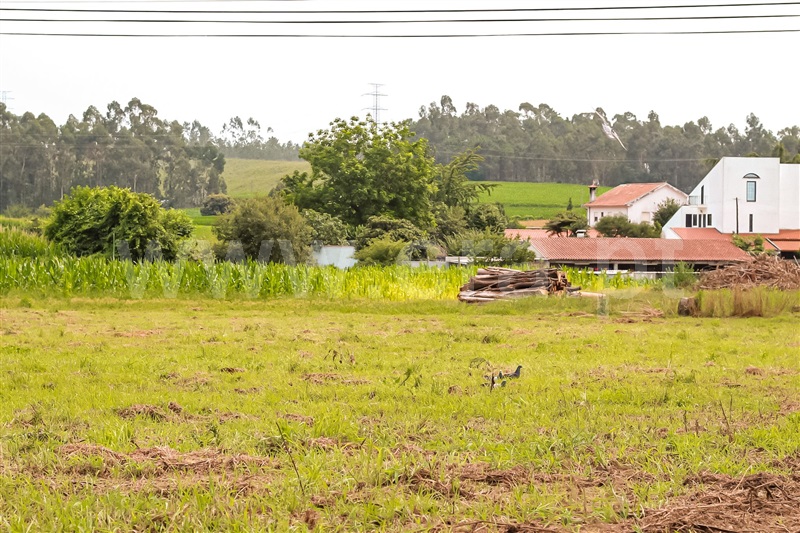 Terreno para Construção  Barcelos, Milhazes, Vilar de Figos e Faria - 1339836 - 3