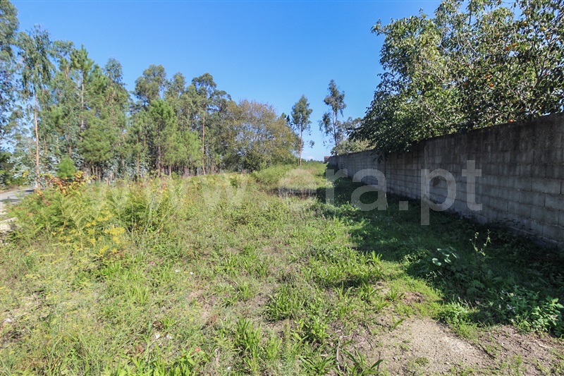 Terreno para Construção  Barcelos, Milhazes, Vilar de Figos e Faria - 1443824 - 3