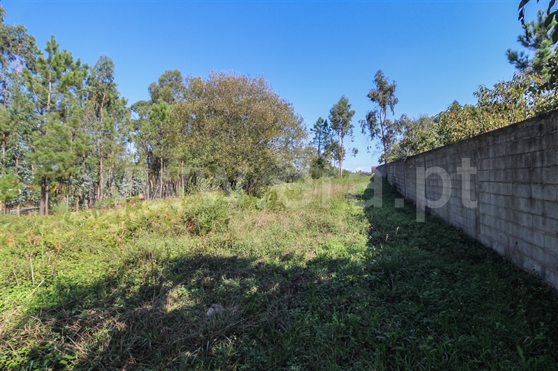 Terreno para Construção  Barcelos, Milhazes, Vilar de Figos e Faria - 1443824 - 4