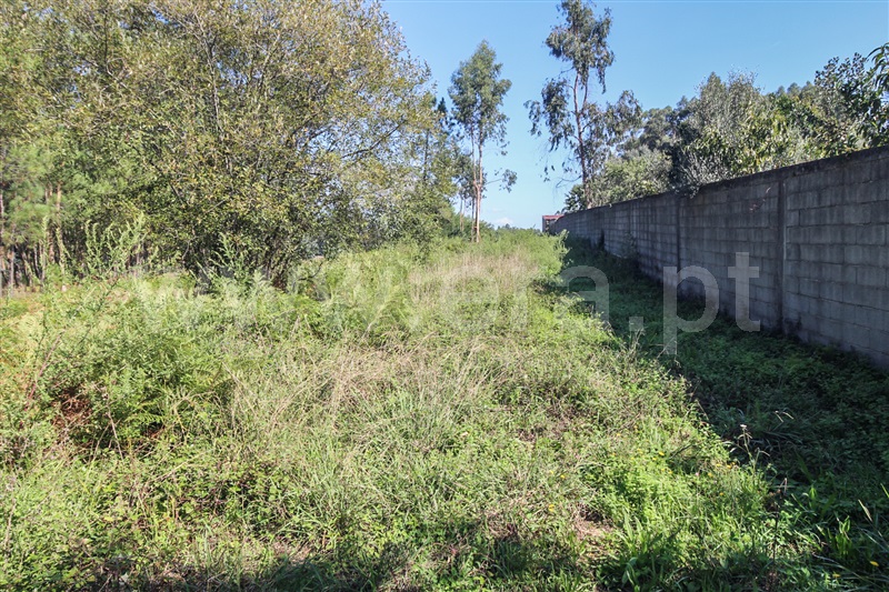 Terreno para Construção  Barcelos, Milhazes, Vilar de Figos e Faria - 1443824 - 5