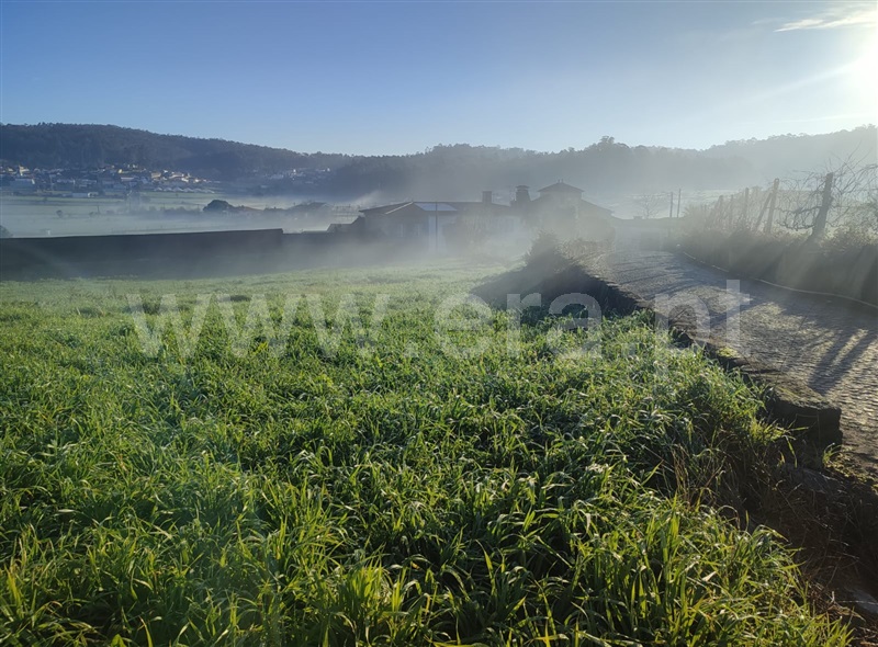 Terreno para Construção  Barcelos, Milhazes, Vilar de Figos e Faria - 1459194 - 2