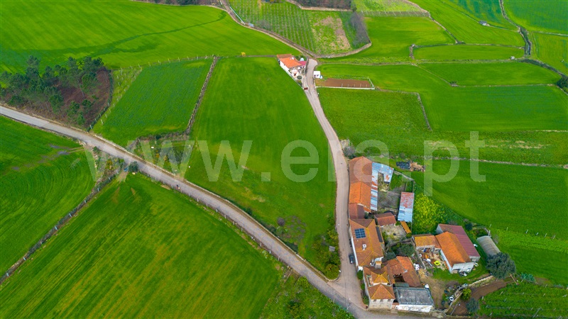 Terreno para Construção  Barcelos, Milhazes, Vilar de Figos e Faria - 1462174 - 5