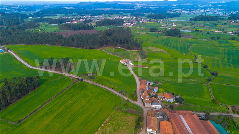Terreno para Construção  Barcelos, Milhazes, Vilar de Figos e Faria - 1462174 - 6