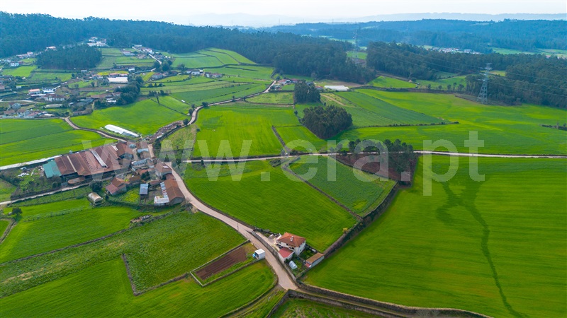 Terreno para Construção  Barcelos, Milhazes, Vilar de Figos e Faria - 1462174 - 8