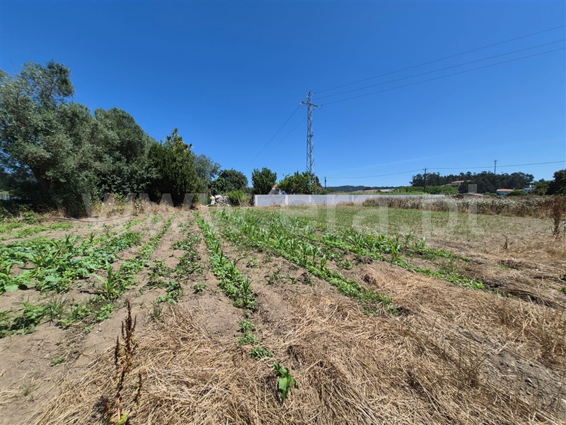 Terreno para Construção / Barcelos, Milhazes, Vilar de Figos e Faria