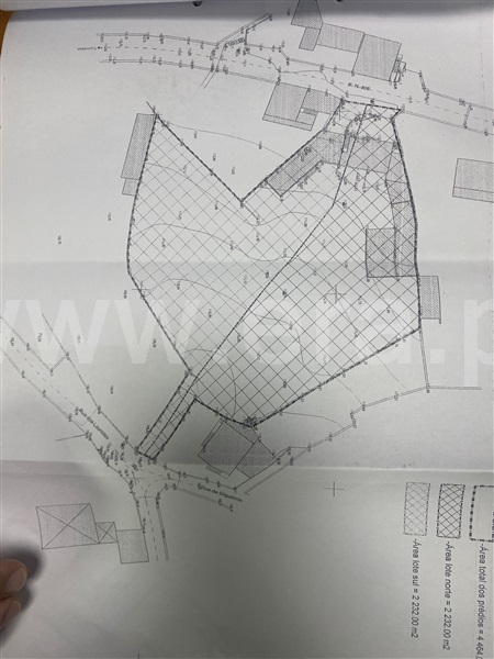 Terreno para Construção  Barcelos, Pereira - 1286208 - 1