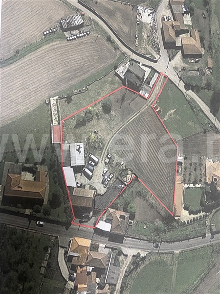 Terreno para Construção  Barcelos, Pereira - 1286208 - 2