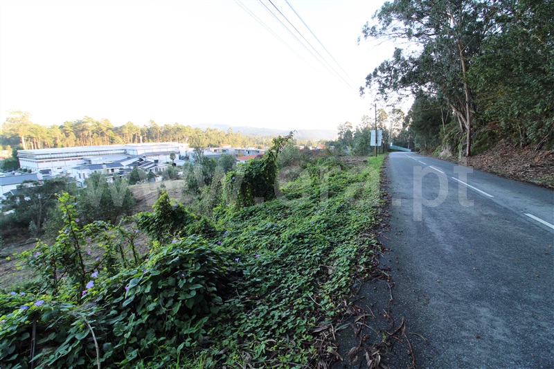 Terreno para Construção  Barcelos, Pereira - 1286975 - 1