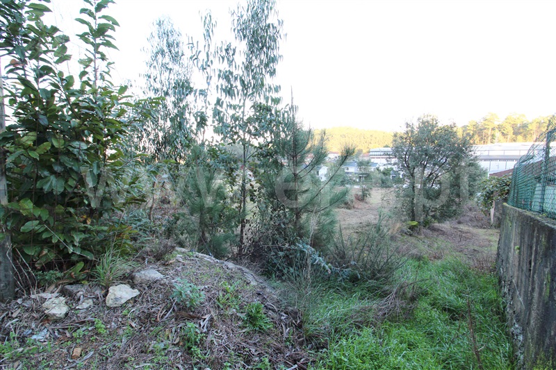Terreno para Construção  Barcelos, Pereira - 1286975 - 2
