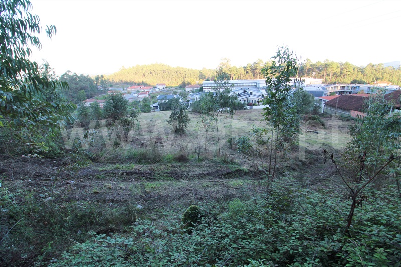 Terreno para Construção  Barcelos, Pereira - 1286975 - 3