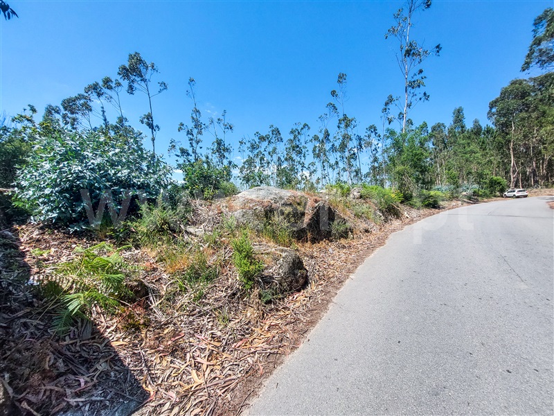 Terreno para Construção  Barcelos, Pereira - 1322675 - 3