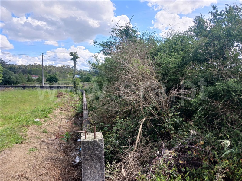Terreno para Construção  Barcelos, Perelhal - 1478218 - 6