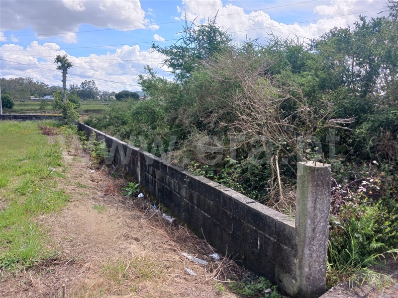 Terreno para Construção  Barcelos, Perelhal - 1478218 - 7