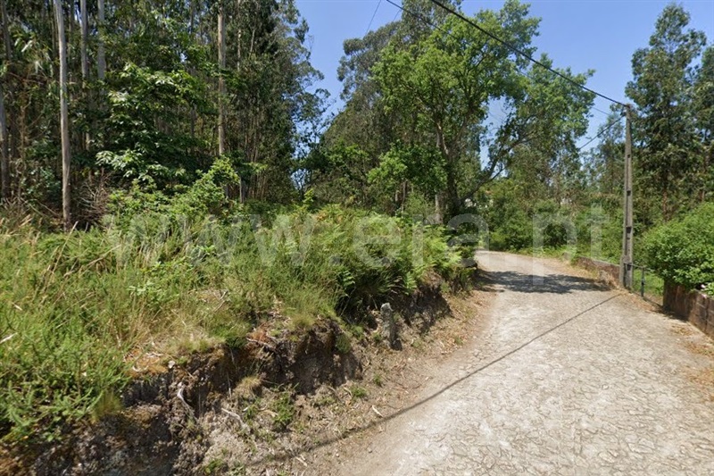 Terreno para Construção / Barcelos, Perelhal