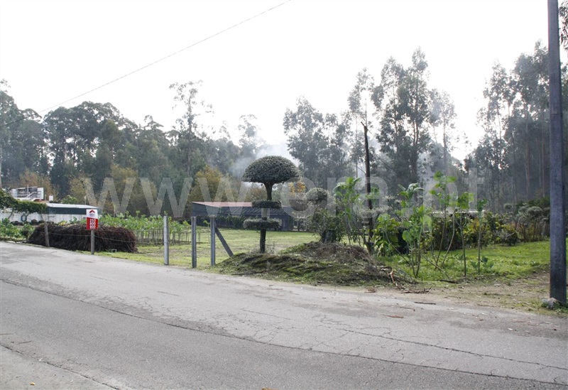 Terreno para Construção  Barcelos, Perelhal - 873081 - 2