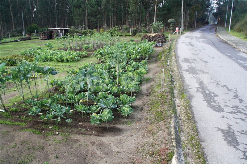 Terreno para Construção  Barcelos, Perelhal - 873081 - 7