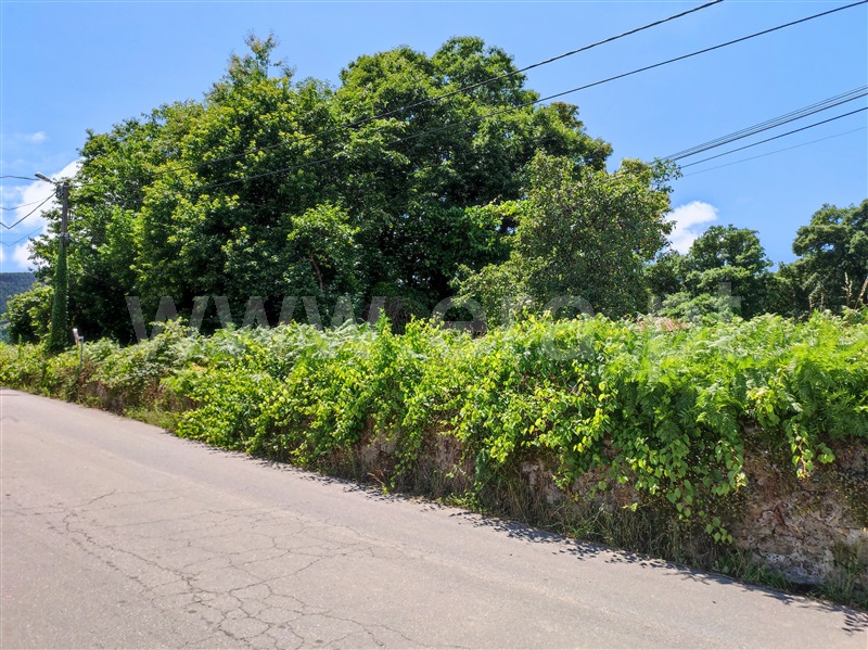 Terreno para Construção  Barcelos, Quintiães e Aguiar - 1258137 - 1