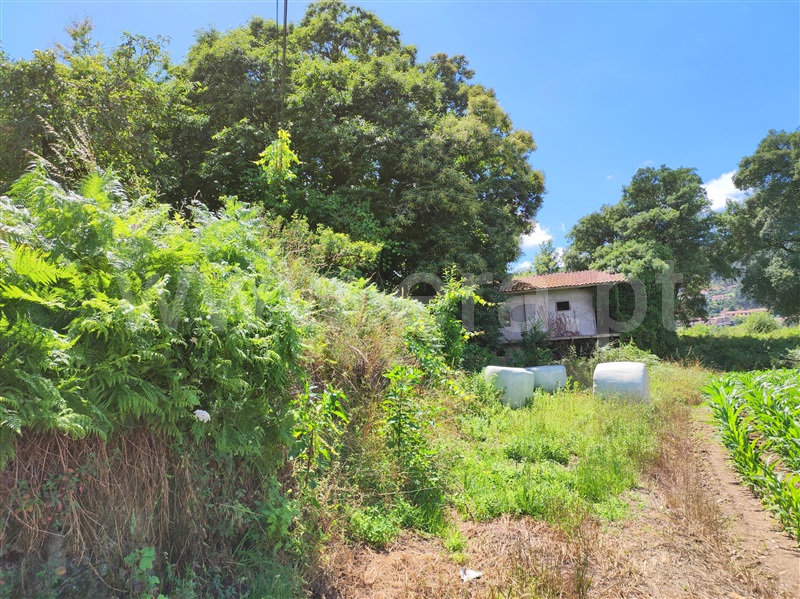 Terreno para Construção  Barcelos, Quintiães e Aguiar - 1258137 - 3