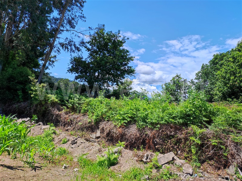 Terreno para Construção  Barcelos, Quintiães e Aguiar - 1258137 - 6