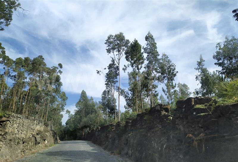 Terreno para Construção / Barcelos, Remelhe