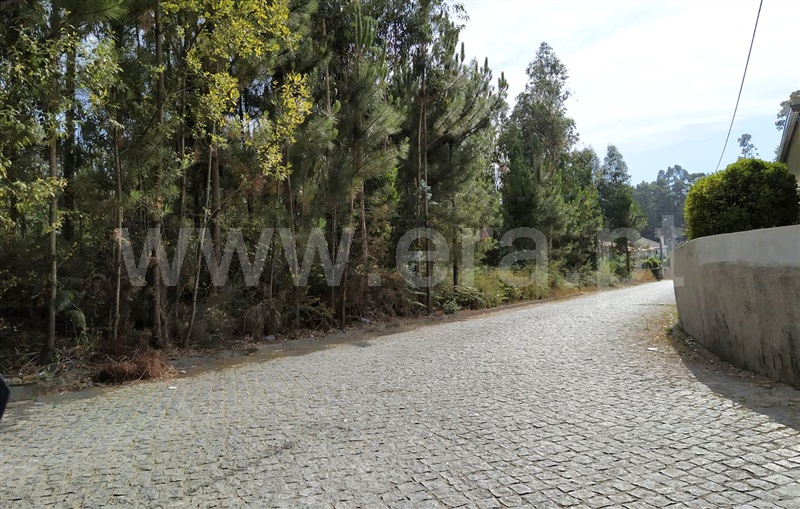Terreno para Construção  Barcelos, Remelhe - 1082731 - 4