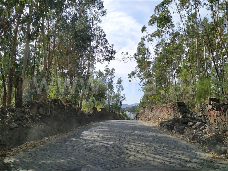 Terreno para Construção  Barcelos, Remelhe - 1082731 - 3