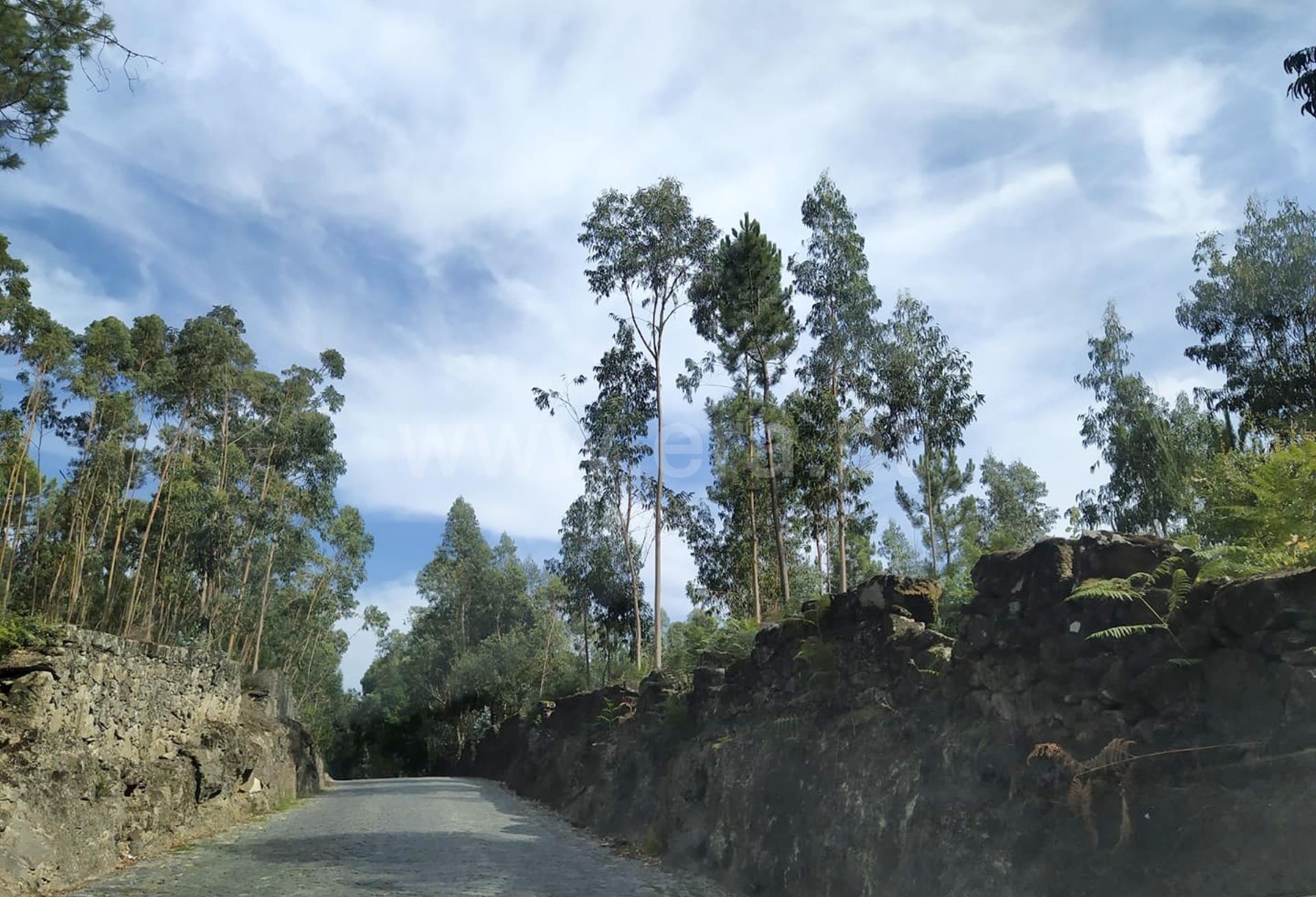 Land for sale in Barcelos, Portugal — €400,000