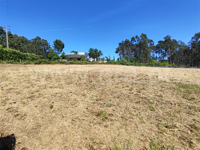 Terreno para Construção / Barcelos, Rio Covo (Santa Eugénia)