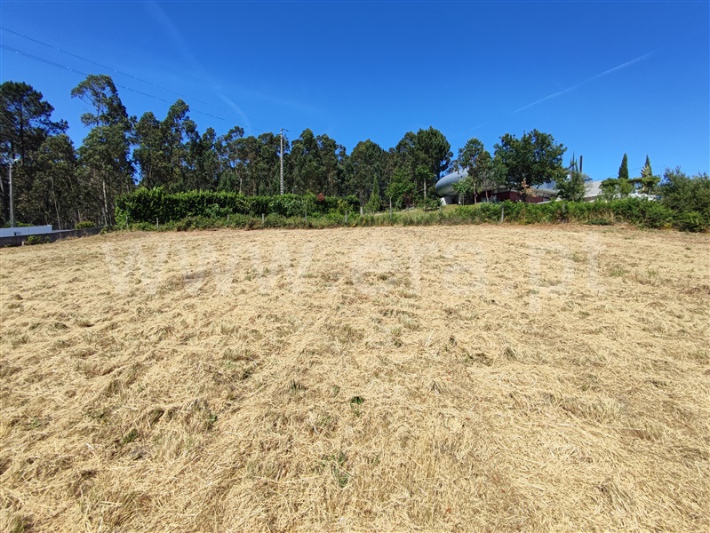 Terreno  Barcelos, Rio Covo (Santa Eugénia) - 1410157 - 7